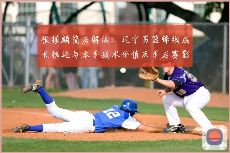 张镇麟简历解读：辽宁男篮锋线成长轨迹与本季战术价值及季后赛影响力