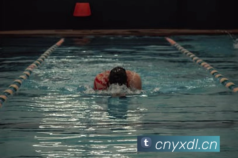 多媒体互动体验